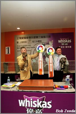 ASH Tie for Highest Scoring Cat